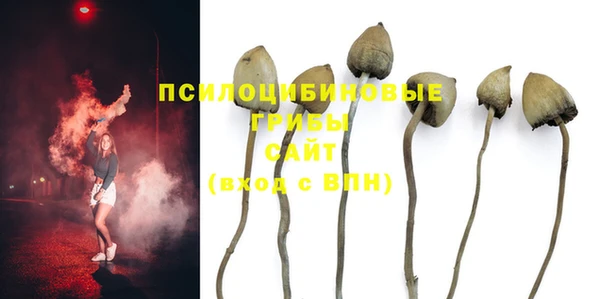 мяу мяу мука Алексин