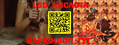 spice Кузнецк