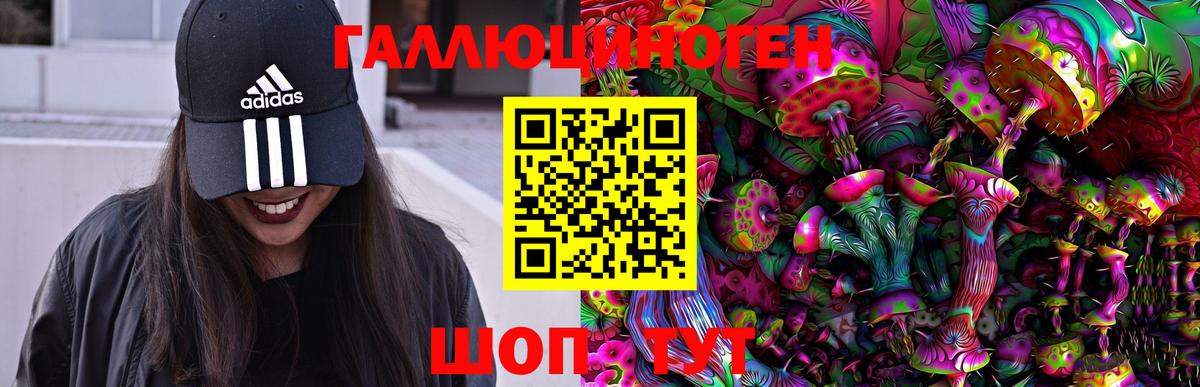 Псилоцибиновые грибы прущие грибы  Псилоцибиновые грибы Psilocybine cubensis  Вход с VPN  Абакан 